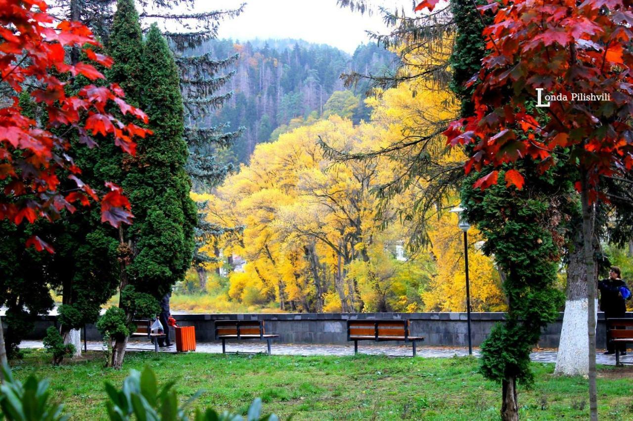 Apartament Sofia Apartment Borjomi Luaran gambar