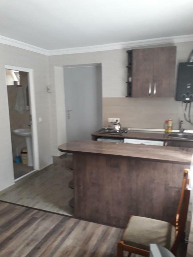 Apartament Sofia Apartment Borjomi Luaran gambar